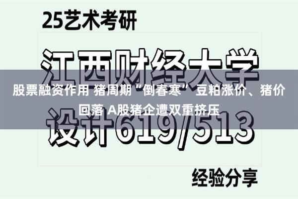 股票融资作用 猪周期“倒春寒” 豆粕涨价、猪价回落 A股猪企遭双重挤压